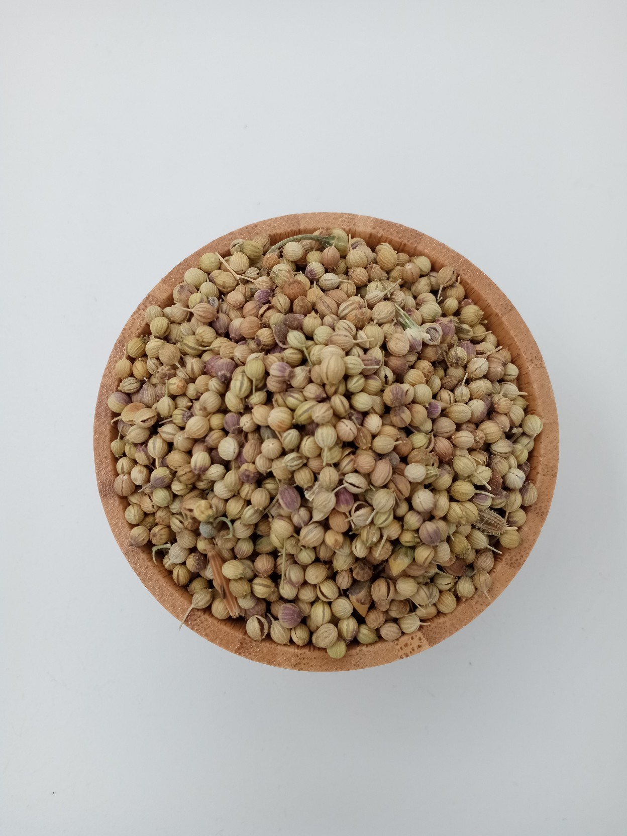 تخم گشنیز