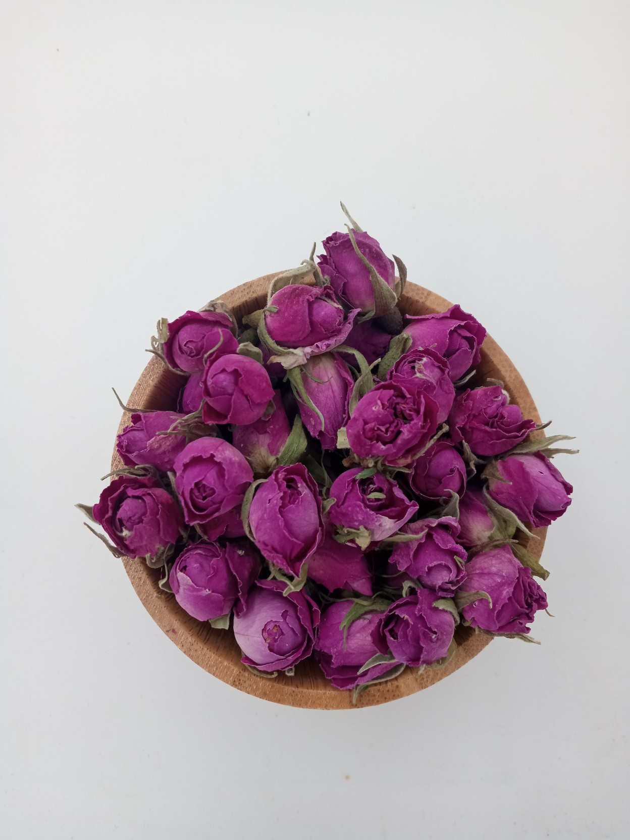 غنچه گل محمدی