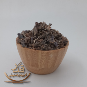 اسطو خدوس