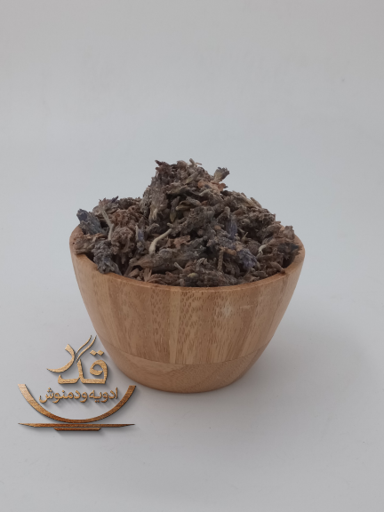 اسطو خدوس