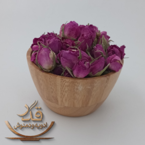 غنچه گل محمدی