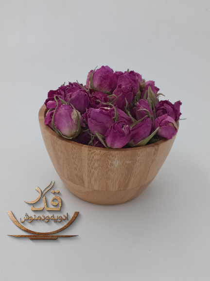 غنچه گل محمدی