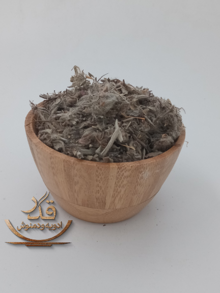 چای کوهی