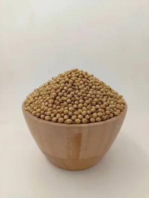 تخم گشنیز